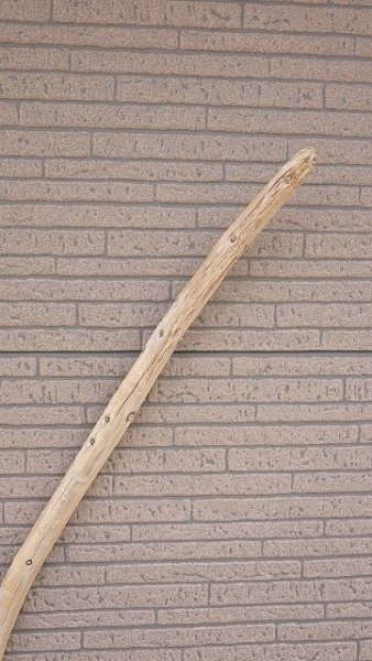 画像4: 棒流木 (4)