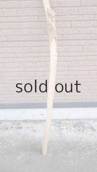 画像2: 棒流木 (2)