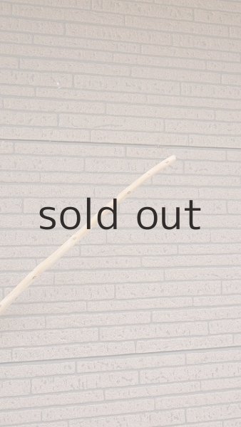 画像5: 棒流木・長尺 (5)