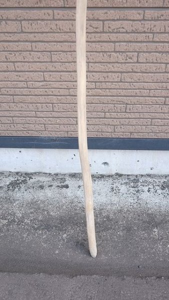 画像2: 枝流木 (2)