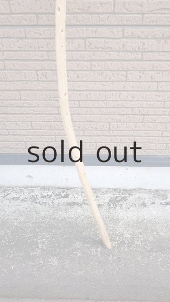 画像2: 棒流木・長尺 (2)