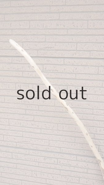 画像4: 棒流木 (4)