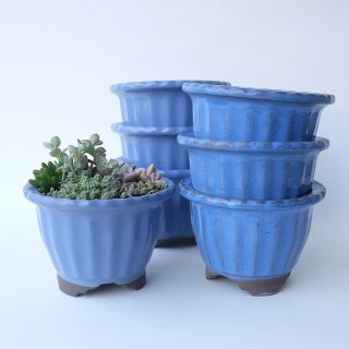 プロダクト商品 - 流木素材市場 阿波遊木