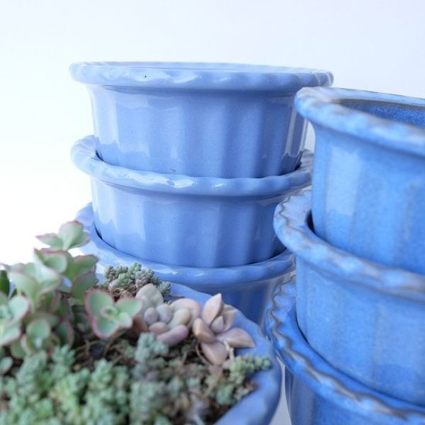 画像4: 塗り鉢(多肉寄せ植え用) (4)