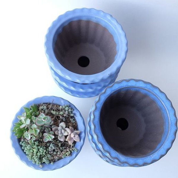 画像5: 塗り鉢(多肉寄せ植え用) (5)