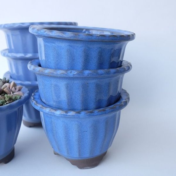 画像2: 塗り鉢(多肉寄せ植え用) (2)