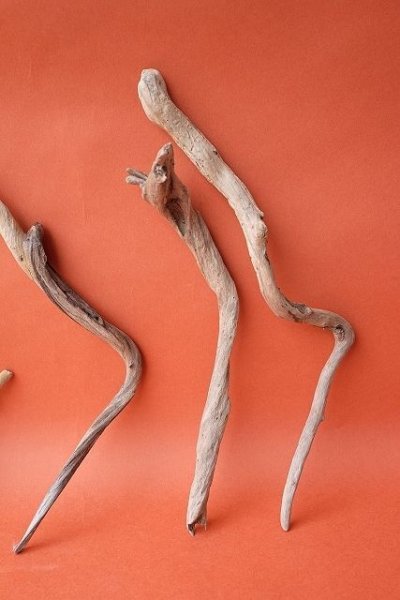 画像4: 流木根セット (4)