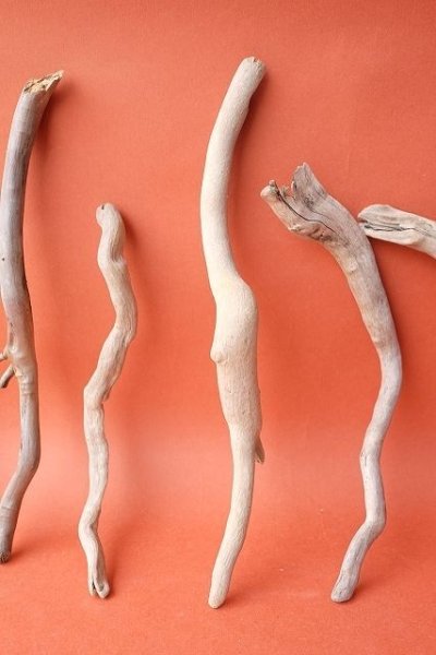 画像3: 流木根セット (3)