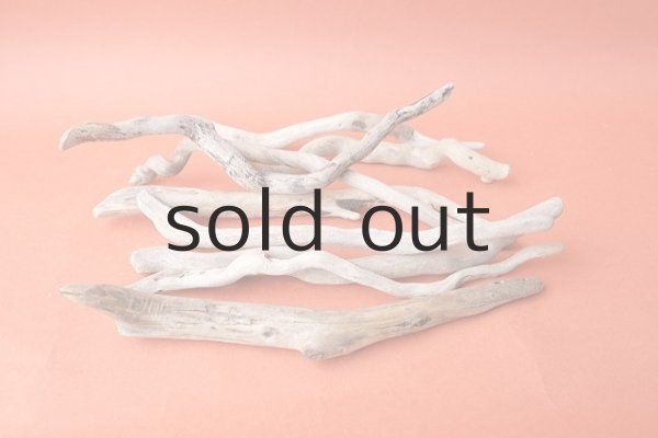 画像6: 流木根セット (6)