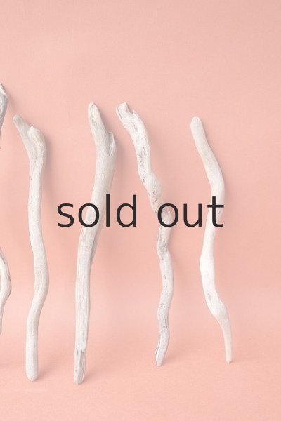 画像4: 流木根セット (4)