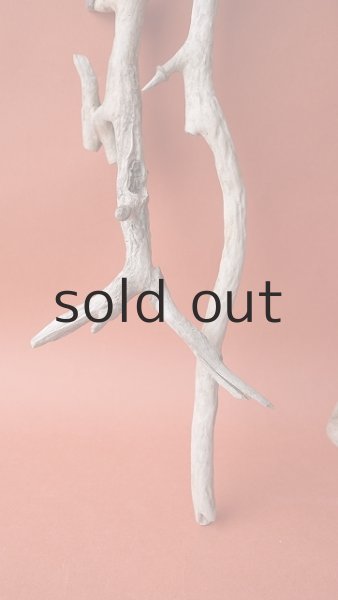 画像2: 流木根セット (2)