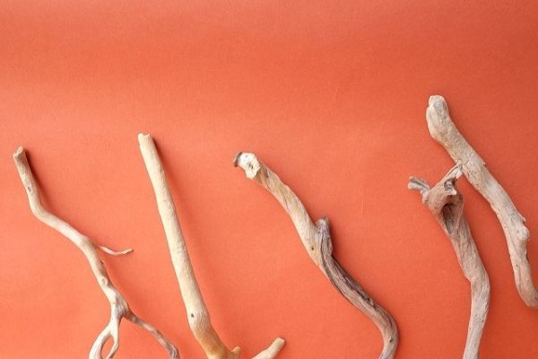 画像5: 流木根セット (5)