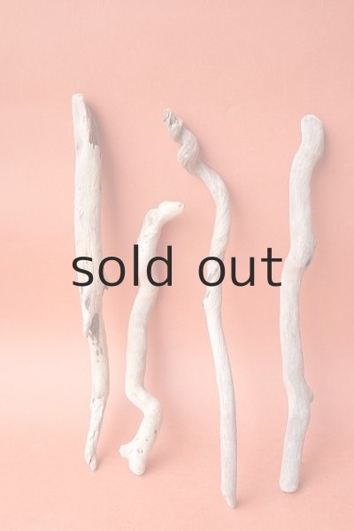 画像2: 流木根セット (2)