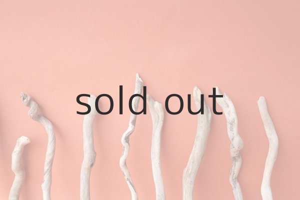 画像5: 流木根セット (5)