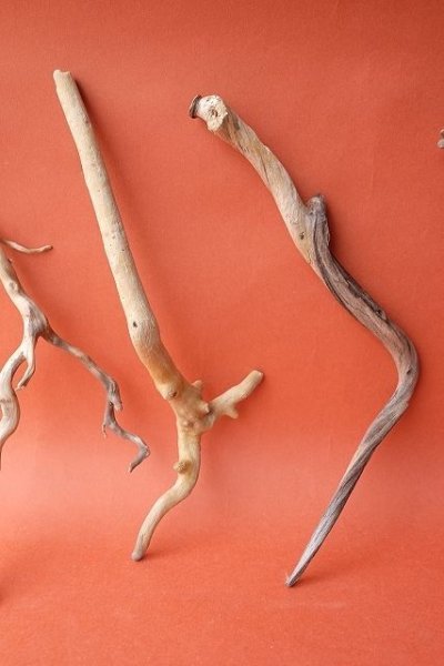 画像3: 流木根セット (3)