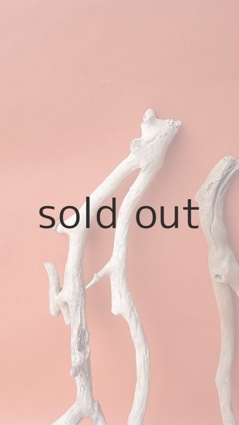 画像3: 流木根セット (3)