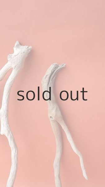 画像5: 流木根セット (5)