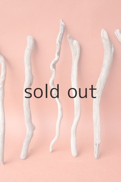 画像3: 流木根セット (3)