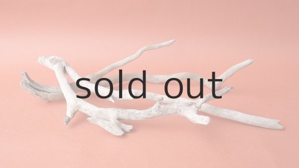 画像6: 流木根セット (6)