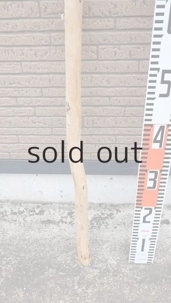 画像5: 棒流木 (5)