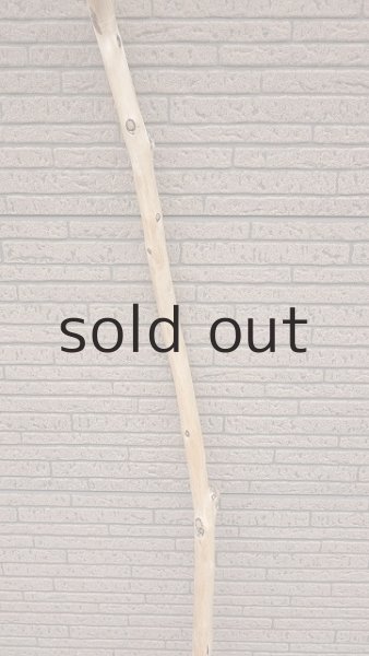 画像3: 棒流木 (3)