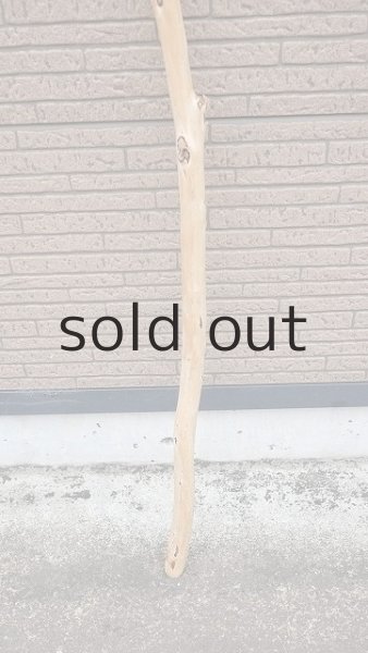 画像2: 棒流木 (2)