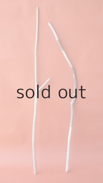 画像1: 枝流木セット (1)