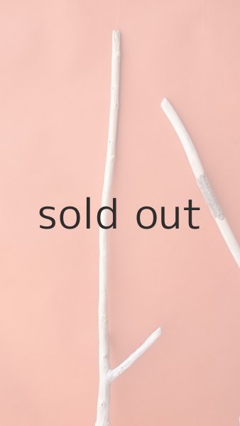 画像3: 枝流木セット (3)