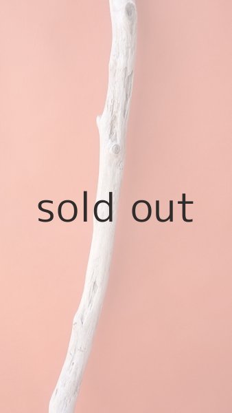 画像3: 枝流木 (3)