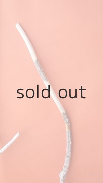 画像5: 枝流木セット (5)