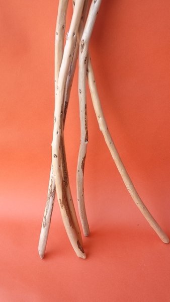 画像7: 棒流木セット (7)