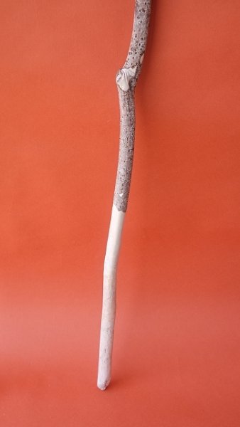 画像4: 枝流木セット (4)