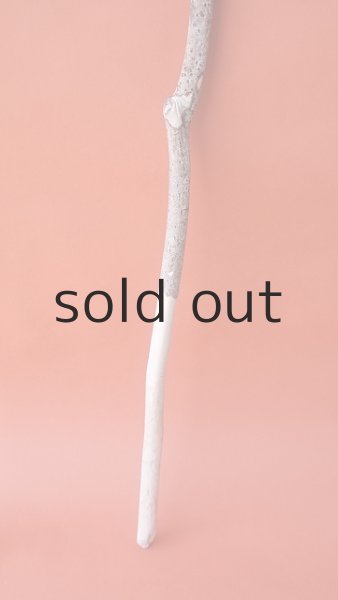 画像4: 枝流木セット (4)