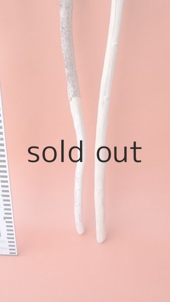 画像6: 枝流木セット (6)