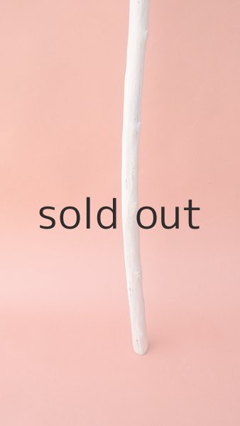 画像2: 枝流木セット (2)