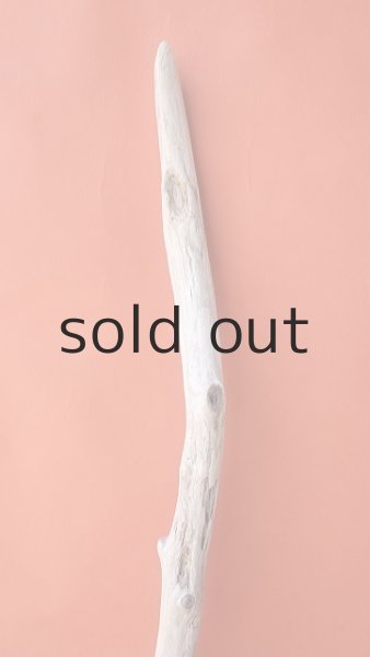 画像4: 枝流木 (4)