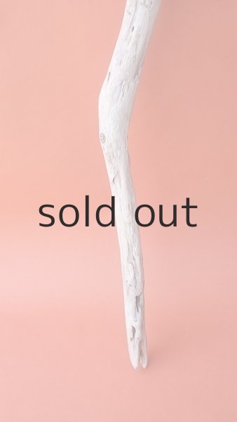 画像2: 枝流木 (2)