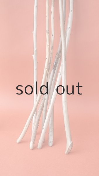 画像7: 棒流木セット (7)