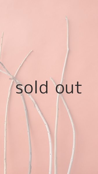 画像4: 棒流木セット (4)