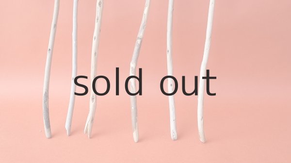 画像4: 棒流木セット (4)