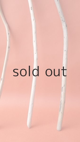 画像3: 棒流木セット (3)