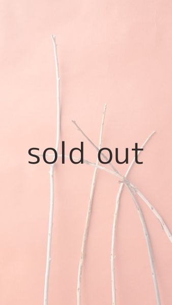 画像3: 棒流木セット (3)