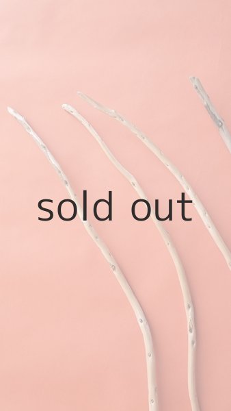 画像5: 棒流木セット (5)