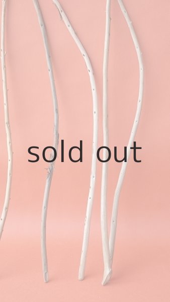 画像2: 棒流木セット (2)