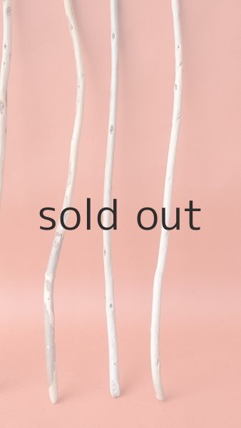 画像3: 棒流木セット (3)