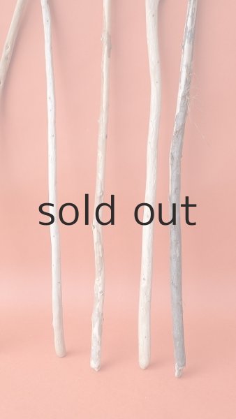 画像6: 棒流木セット (6)