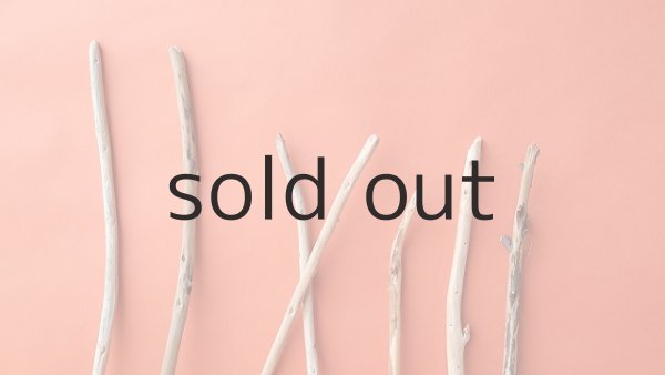 画像4: 棒流木セット (4)