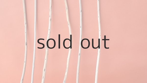 画像5: 棒流木セット (5)