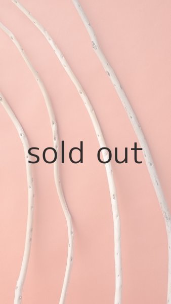 画像4: 棒流木セット (4)