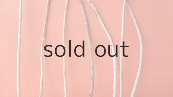 画像6: 棒流木セット (6)